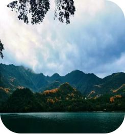 1732085078755419.png image.png